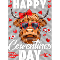 Valentine's Day-QRJ  5349